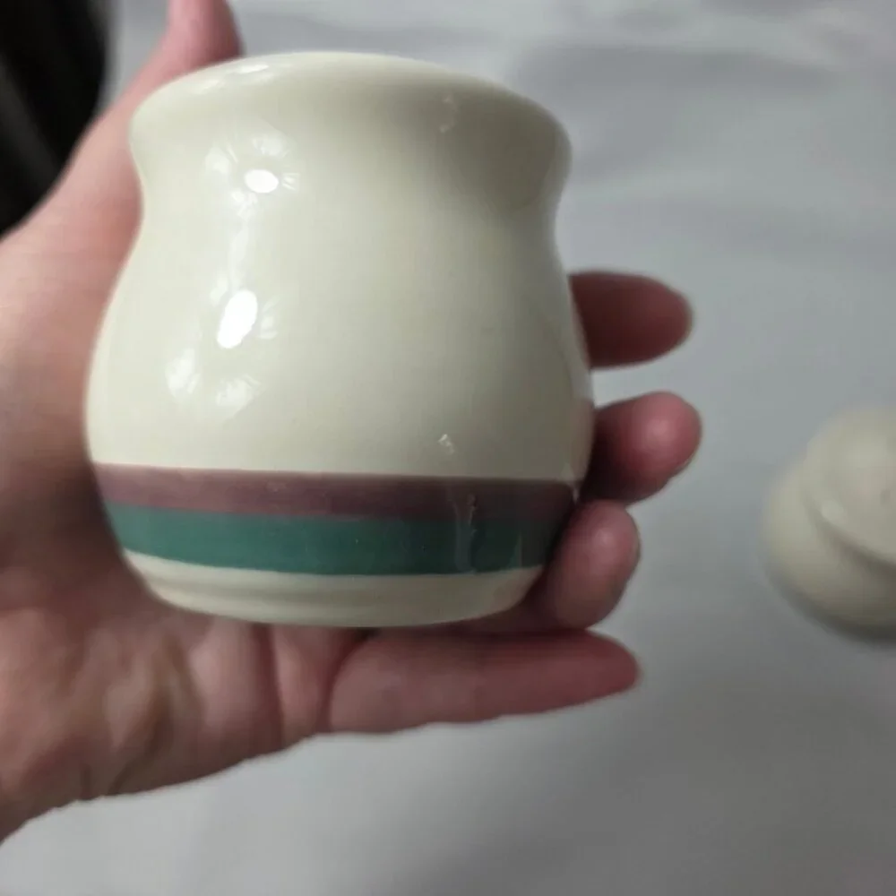 Pfaltzgraff Juniper Salt & Pepper Shakers Ivory with Mauve and Green Bands